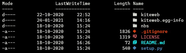 Powershell after using terminal icons